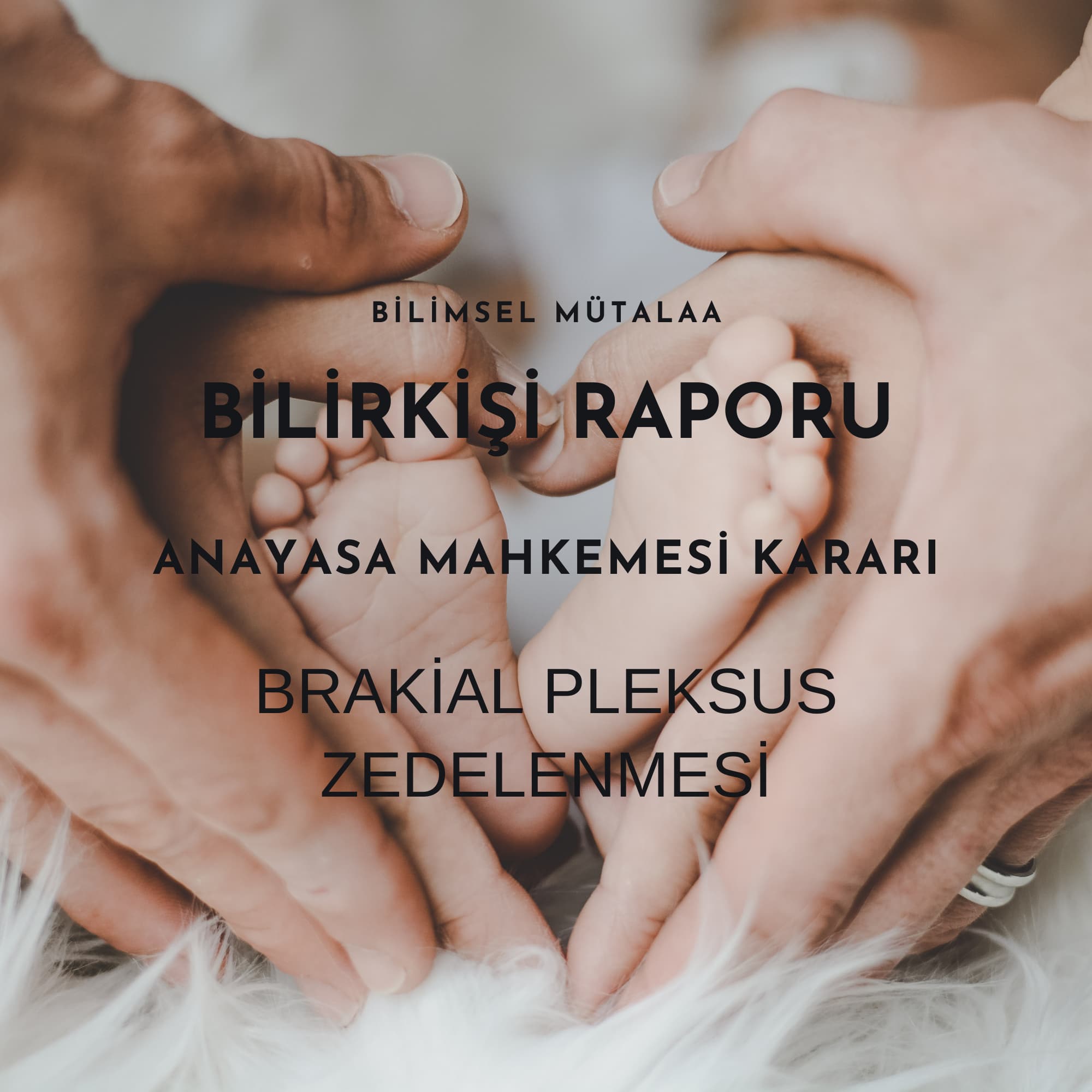Bilirkişi raporu